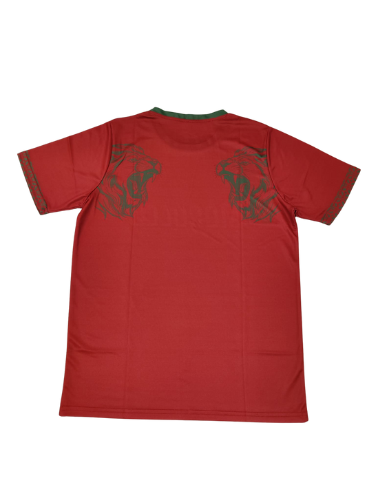 Maillot du Maroc